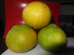 洪江市黔阳红农产品专业合作社 专业食用农产品批发与供应服务