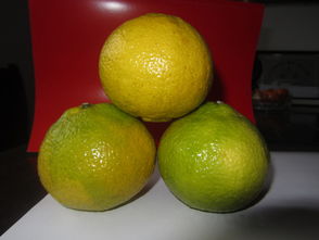 洪江市黔阳红农产品专业合作社 优质食用农产品批发与供应